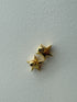 ✧ NEW ✧ star pierce/earring(予約商品)